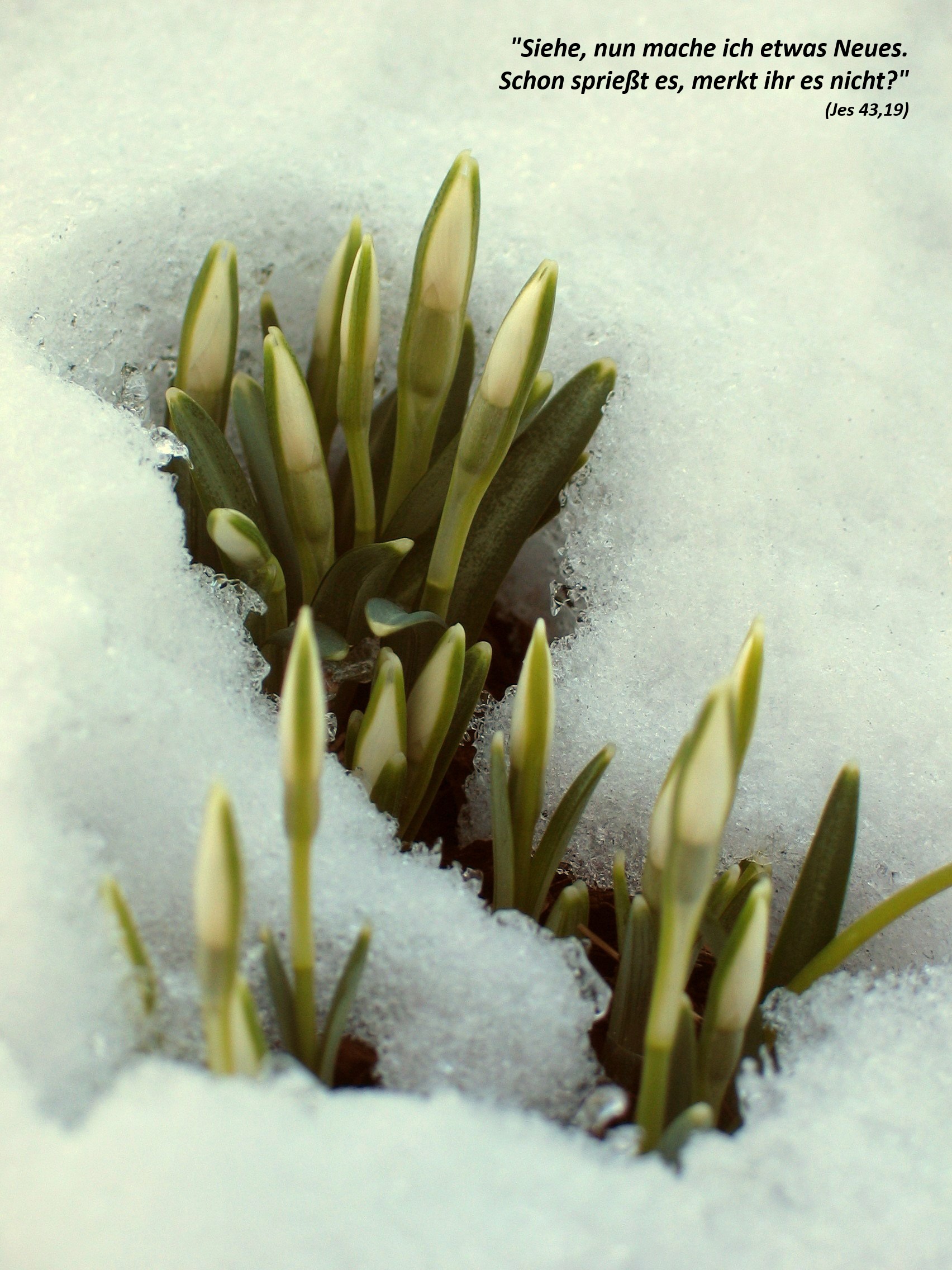 7218_pbs_img_85741_0