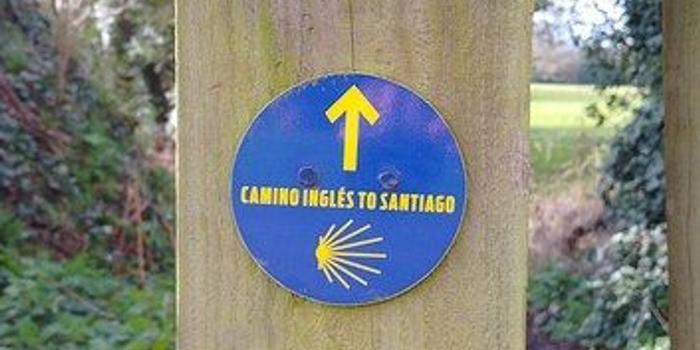 Camino Ingles
